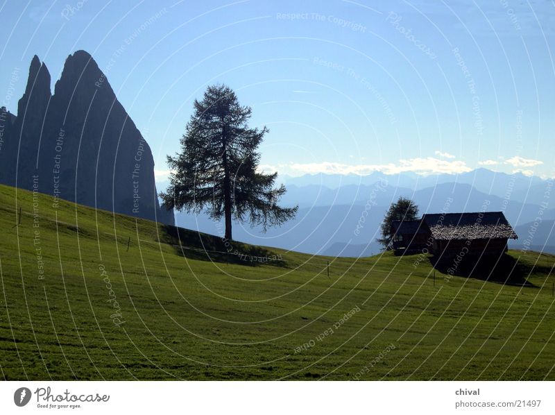 Seiser Alm Dolomiten Baum Panorama (Aussicht) Wiese Ferne Berge u. Gebirge Alpen Hütte Silhouette Nebel Kette groß