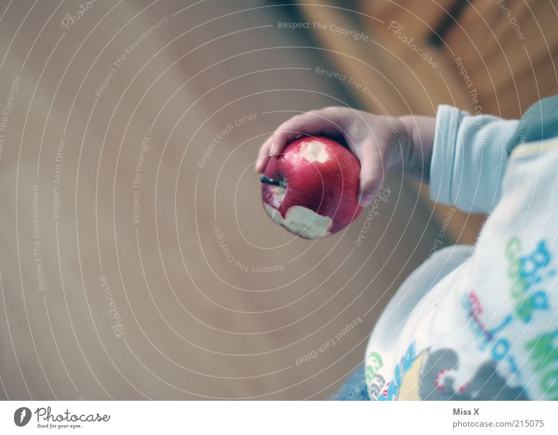 der kleiner Mann lebt gesund Lebensmittel Frucht Apfel Ernährung Essen Bioprodukte Vegetarische Ernährung Mensch Kind Kleinkind Hand 1 1-3 Jahre lecker süß