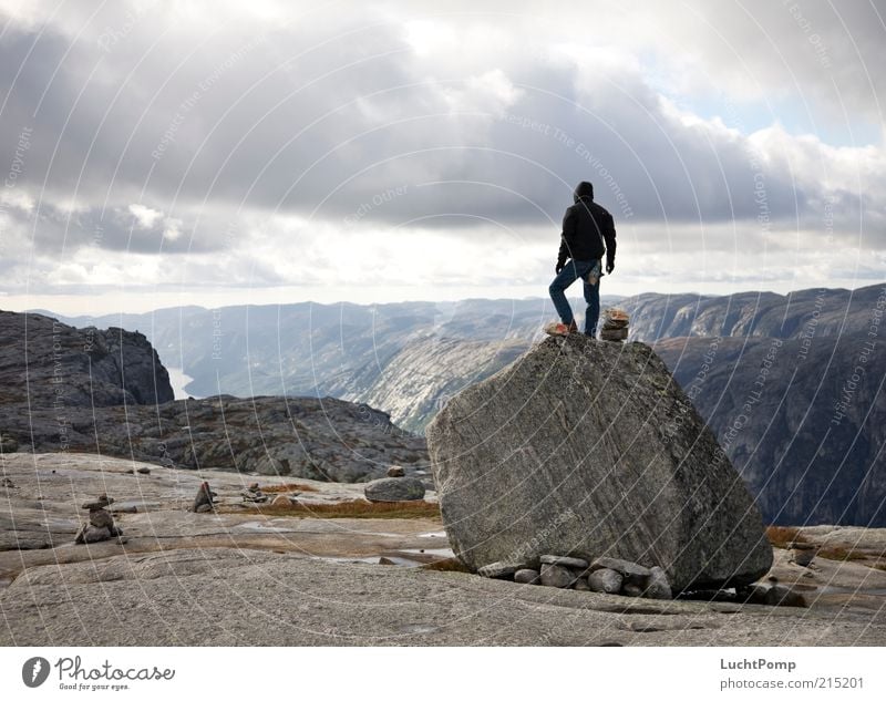 Der Wächter Natur Berge u. Gebirge Luft Ferne Freiheit beobachten Wachsamkeit Felsen Stein steinig Körperhaltung Norwegen Lysefjord Pflanze maskulin kalt Wind