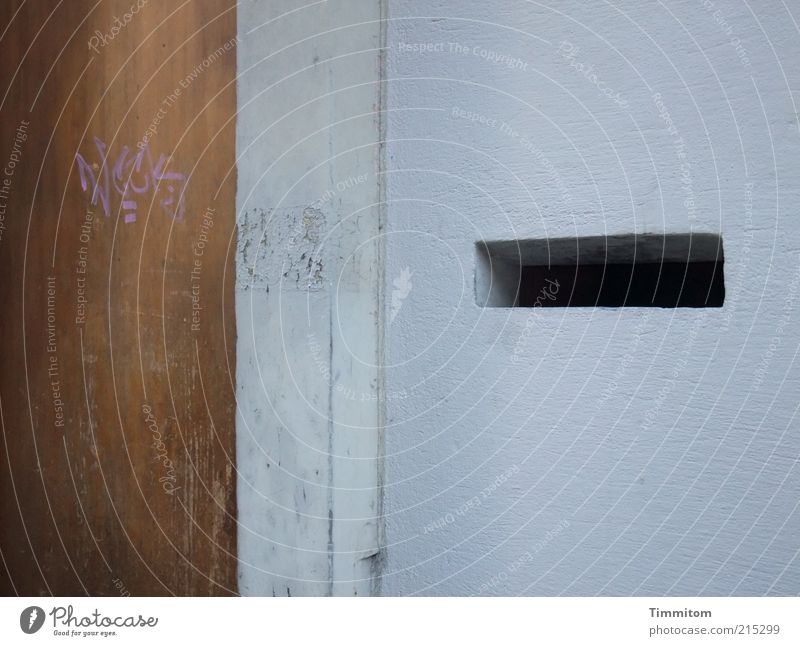Offen für vieles Haus Briefkasten Menschenleer Mauer Wand Tür Stein Holz Schriftzeichen außergewöhnlich eckig fest grau Graffiti Schlitz gebraucht Außenaufnahme