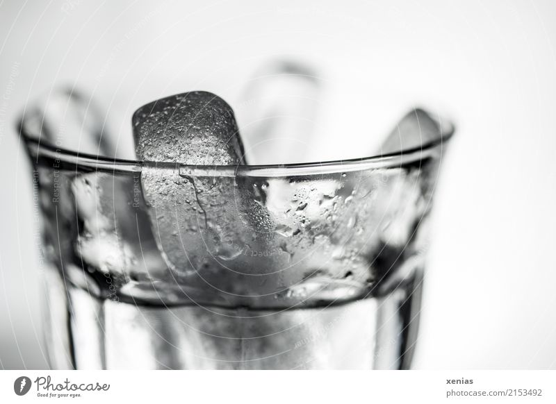 Glas mit Eissticks und Wasser Getränk Erfrischungsgetränk Trinkwasser Alkohol Eiswürfel Sommer Bar Cocktailbar trinken kalt schwarz weiß Detailaufnahme