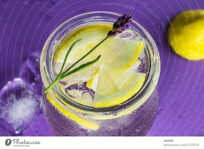 Eisgekühltes Zitronenwasser mit Lavendel Frucht Kräuter & Gewürze Eiswürfel Bioprodukte Vegetarische Ernährung Getränk Erfrischungsgetränk Trinkwasser Limonade