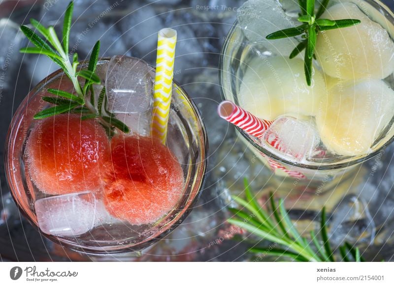 Zwei Gläser Erfrischungsgetränk mit Honig- und Wassermelone, Rosmarin, Eiswürfel und Trinkhalm Getränk Frucht Kräuter & Gewürze Honigmelone Kugel Bioprodukte