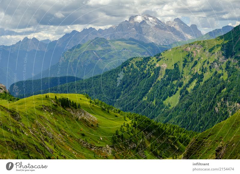 In den Dolomiten Ferien & Urlaub & Reisen Ausflug Abenteuer Ferne Freiheit Berge u. Gebirge wandern Umwelt Landschaft Wolken Schönes Wetter Gras Wiese Wald