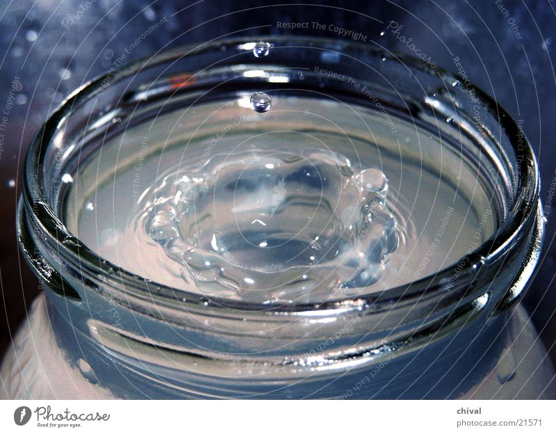 Aufprall Joghurtglas Blitzlichtaufnahme Makroaufnahme Nahaufnahme Wassertropfen Glas Baumkrone