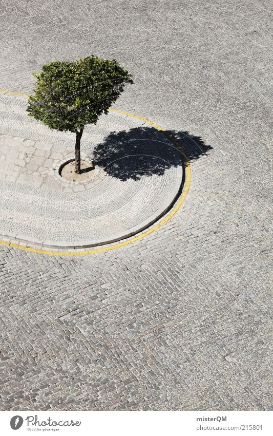 Geduldet. Kunst ästhetisch Baum eingeengt Einsamkeit Natur Ordnung Asphalt Kopfsteinpflaster grün Umweltschutz Bürgersteig Zitronenbaum minimalistisch