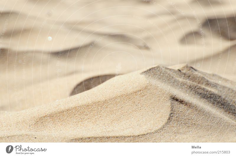 Wie Sand am Meer Ferien & Urlaub & Reisen Strand Umwelt Natur Klima Klimawandel Wüste Düne Stranddüne nah Wärme weich Dürre fein Sandkorn Farbfoto Außenaufnahme
