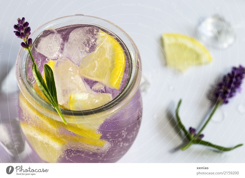 Aromatisiertes Lavendelwasser mit Zitrone, Lavendelblüte und Eiswürfel Getränk Frucht Kräuter & Gewürze Erfrischungsgetränk Trinkwasser Glas Trinkhalm