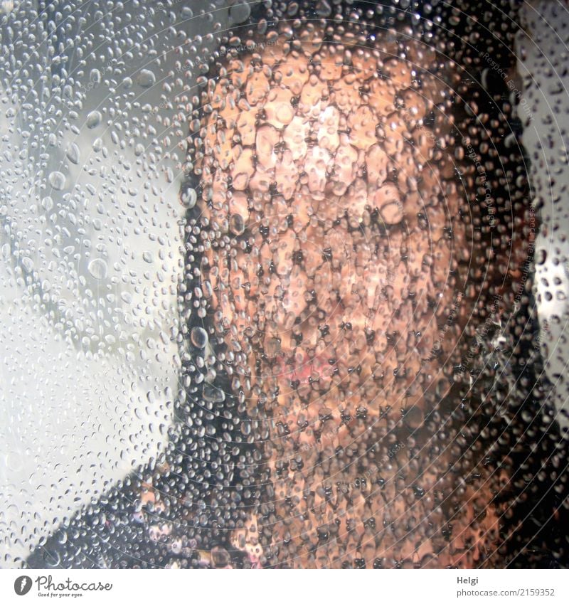 mit einem Netz verschleiertes Gesicht einer Frau hinter einer nicht ganz durchsichtigen Glasscheibe Mensch feminin Erwachsene Kopf 1 45-60 Jahre brünett