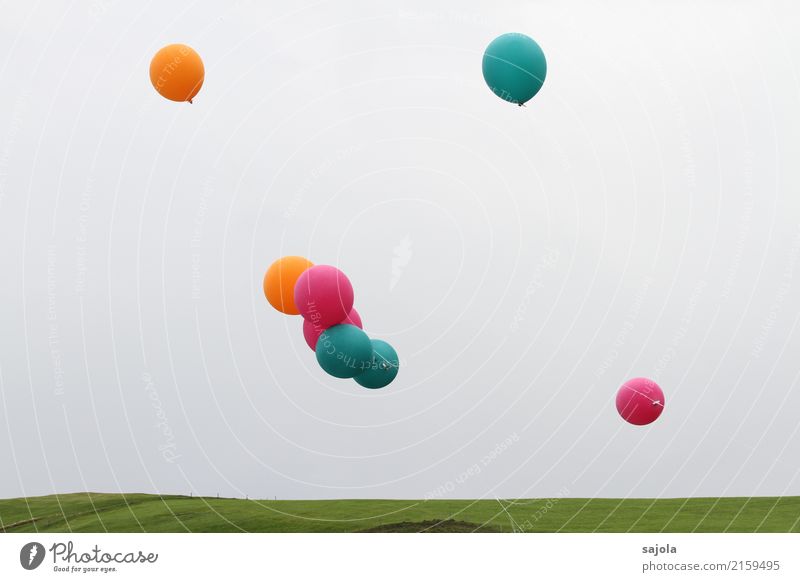 feierlaune | lasst die ballone fliegen Umwelt Himmel Wolken Wiese Dekoration & Verzierung Luftballon blau orange rosa Freude Feste & Feiern Schnur Schweben