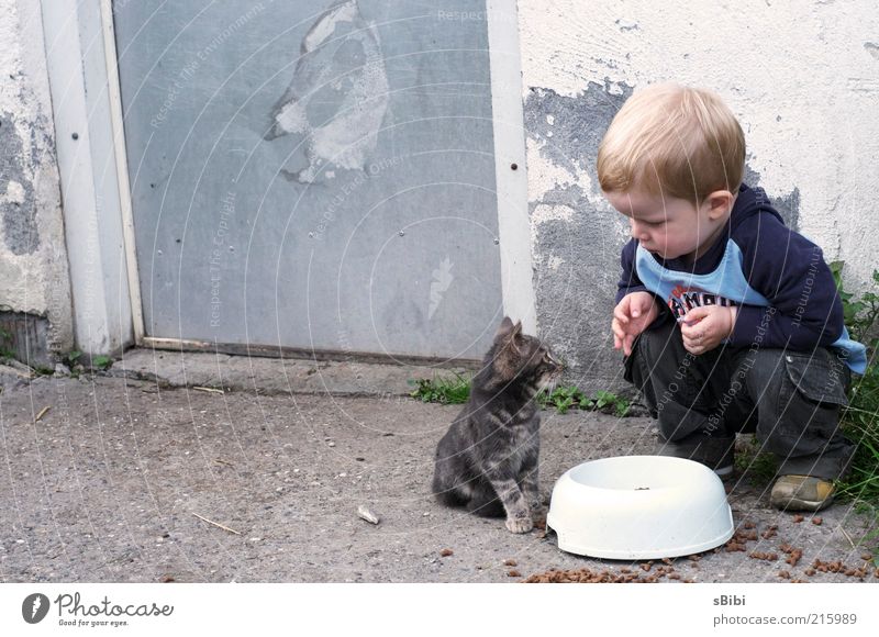 Liebe auf den 1.Blick Teil 1 Mensch Kind Kleinkind Junge Kindheit 1-3 Jahre Bauernhof blond Katze Fell Tier Tierjunges füttern hocken Spielen klein Neugier