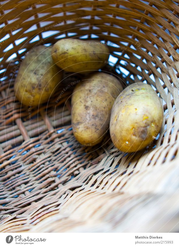 Kartoffeln Lebensmittel Ernährung Bioprodukte Vegetarische Ernährung ästhetisch Korb roh Vorrat Vorratsbehälter Farbfoto Außenaufnahme Nahaufnahme