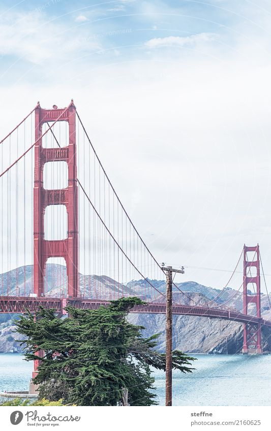 Around the World: San Francisco Reisefotografie Tourismus Ferien & Urlaub & Reisen Rundreise around the world steffne Golden Gate Bridge Wahrzeichen Postkarte