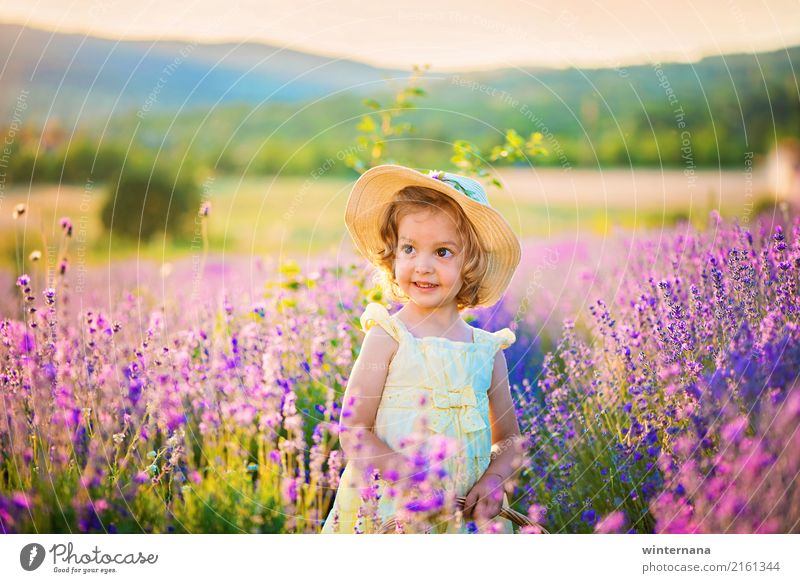Mädchen im Lavendel Mensch 1 3-8 Jahre Kind Kindheit Himmel Sommer Schönes Wetter Feld Berge u. Gebirge Lavendelfeld Kleid Hut blond Locken Lächeln frei