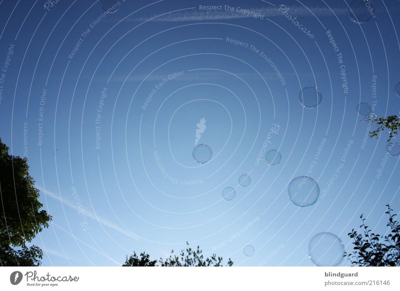 Vom Traum Bilder bestätigt zu bekommen blau Leichtigkeit Kreis rund Seifenblase glänzend Farbfoto Außenaufnahme Experiment Menschenleer Tag Licht Silhouette