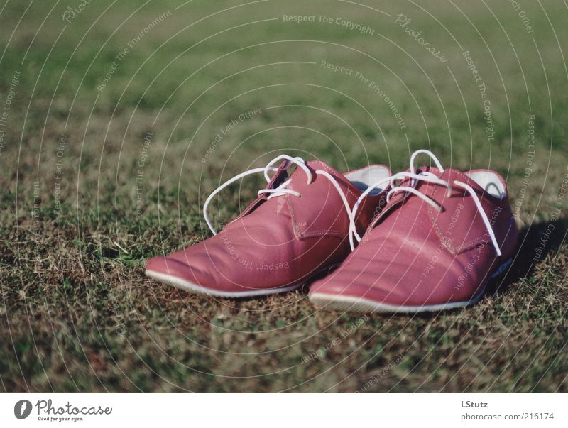 extravagant - analog Stil Mode Leder Schuhe trendy einzigartig trashig rosa Objektfotografie Produktfotografie Menschenleer Hintergrund neutral Lederschuhe