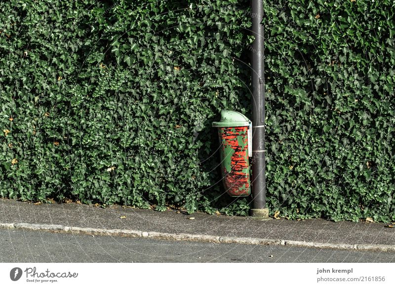 Rein mit dem Krempl Grünpflanze Hecke Verkehrswege Fußgänger Straße Bürgersteig gehsteigkante Müllbehälter Laternenpfahl Asphalt stehen Stadt grün rot