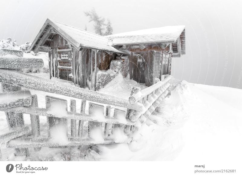 Gemma auf a Schnapserl in der schneebedeckten Hütte auf dem Berg Winter Stall Berghütte Holzzaun außergewöhnlich kalt gefroren Schnee Idylle Farbfoto