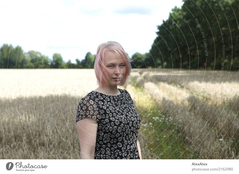Portrait einer jungen Frau, die in einem Sommerkleid in einem Feld steht schön Leben Ausflug Junge Frau Jugendliche Gesicht Sommersprossen 18-30 Jahre