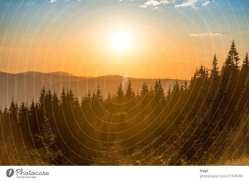 Sonnenuntergang in den Bergen mit Wald schön Ferien & Urlaub & Reisen Abenteuer Sommer Berge u. Gebirge Umwelt Natur Landschaft Himmel Wolken Horizont