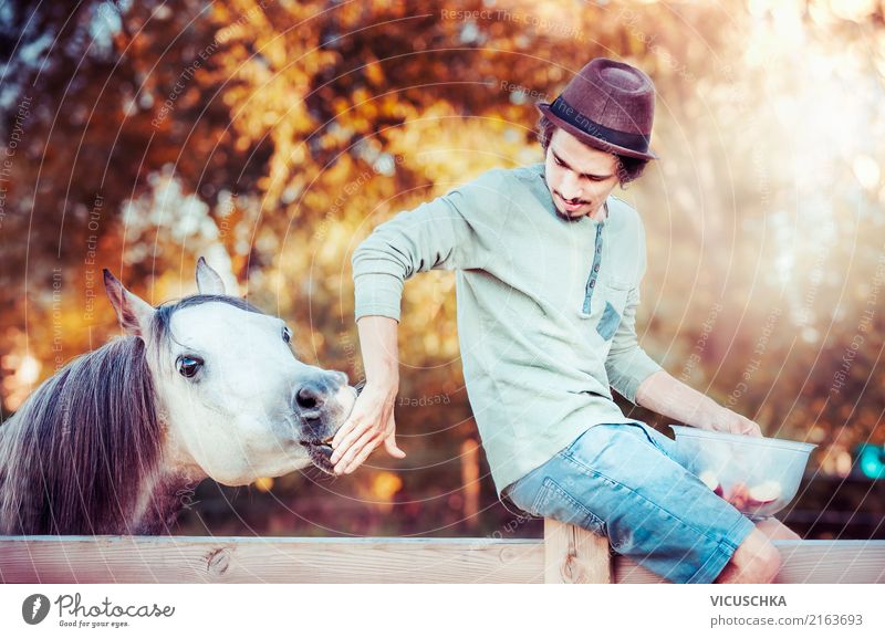 Junger Mann mit Pferd maskulin Jugendliche Tier Design Freizeit & Hobby Freude Stall Natur Pferdestall Herbst Farbfoto Außenaufnahme Tag Licht Schatten