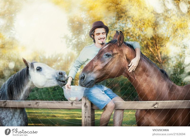 Junger Kerl lacht und füttert Pferde Lifestyle Mensch maskulin Junger Mann Jugendliche 1 Natur Tier 2 Gefühle Stimmung Freude Glück Fröhlichkeit Lebensfreude