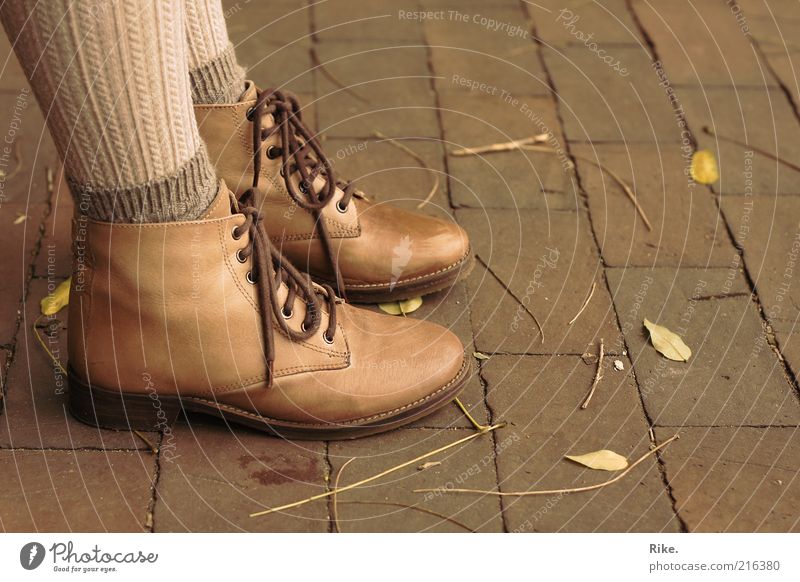 Auf dem Boden geblieben. Stil Mensch feminin Fuß 1 Herbst Blatt Strumpfhose Leder Schuhe stehen elegant trendy schön natürlich braun selbstbewußt Mode Farbfoto