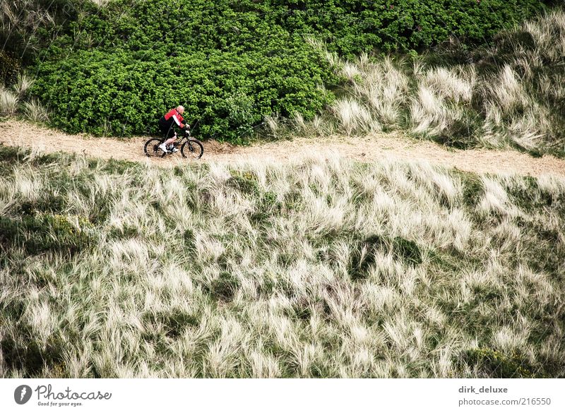 Mountainbike Ferien & Urlaub & Reisen Fahrradtour Mann Erwachsene Menschenleer Gesundheit Freude Gras Landschaft Freizeit & Hobby Fahrradfahren Mountainbiking