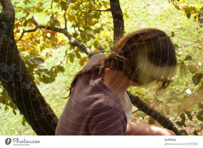 imagine.. feminin Junge Frau Jugendliche Haare & Frisuren 1 Mensch Natur Sonnenlicht Herbst Schönes Wetter Baum Blatt Buche Park Wiese Wald brünett langhaarig