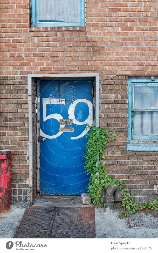 Kurzsichtiger Briefträger? New York City Haus Architektur Mauer Wand Tür Briefkasten Ziffern & Zahlen alt authentisch außergewöhnlich trashig trist blau 59