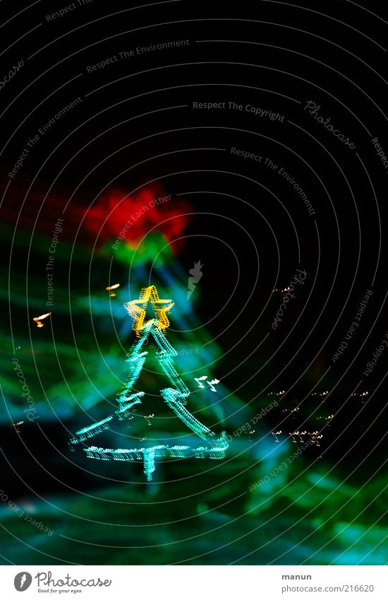 Weihnachtsbaum Dekoration & Verzierung Feste & Feiern Festbeleuchtung festlich Zeichen Stern (Symbol) glänzend leuchten außergewöhnlich Fröhlichkeit Vorfreude