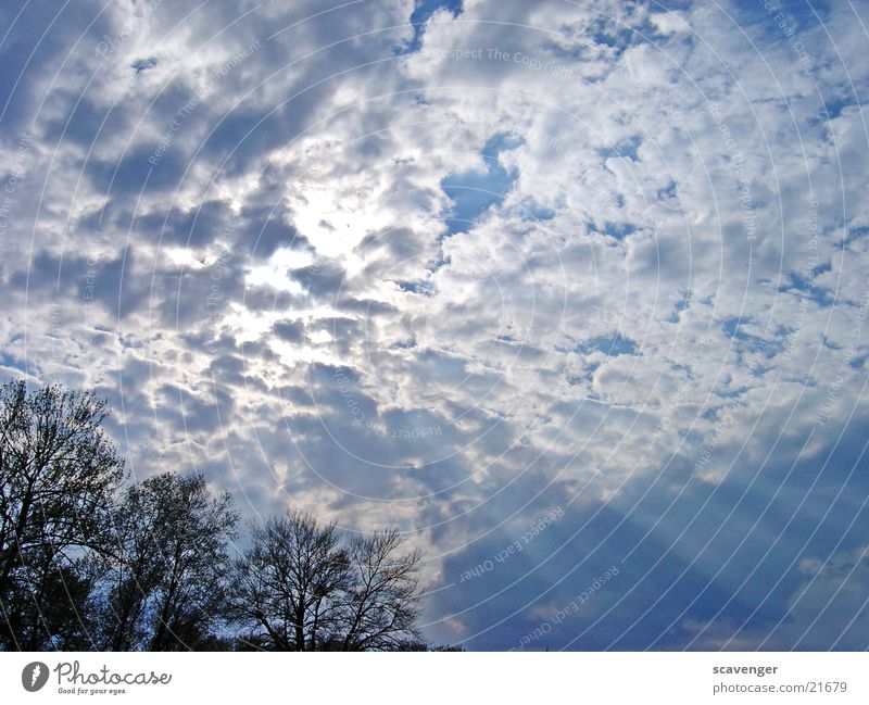 heaven Wolken Sonnenstrahlen weiß Licht Himmelsszene niedrige Wolken horizontale Wolken Beleuchtung blau hell Bodensee