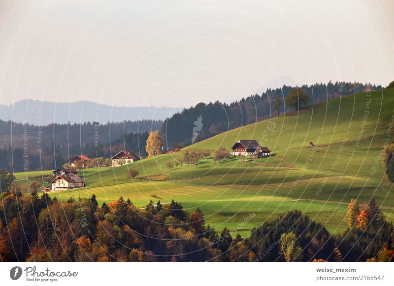 Österreichisches Dorf auf Berghügeln in den Alpen Ferien & Urlaub & Reisen Tourismus Ausflug Sommerurlaub Berge u. Gebirge Haus Natur Landschaft Herbst