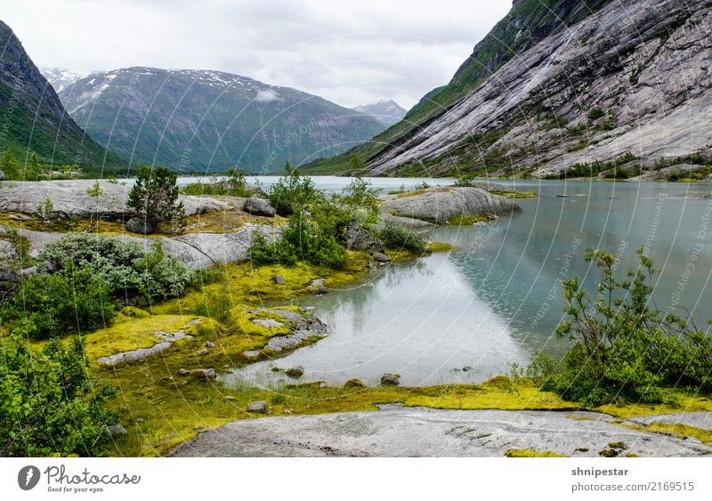 Nigardsbreen, Norwegen wandern Umwelt Natur Landschaft Urelemente Wasser Klima Klimawandel Wetter Eis Frost Berge u. Gebirge Schneebedeckte Gipfel Gletscher