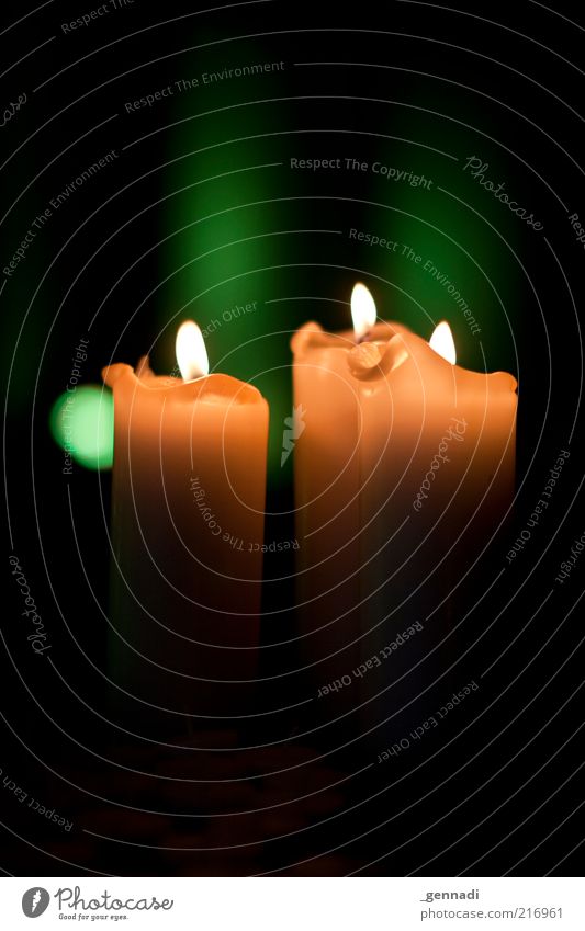 PC-Pflichtfoto Nr 5 Kerze Kerzenschein verrückt trist gelb grün schwarz Vorfreude Religion & Glaube Reflexion & Spiegelung dunkel erleuchten erhellend Farbfoto