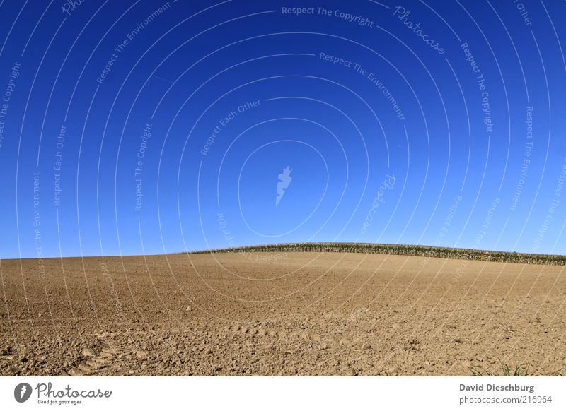 Weites Land Natur Landschaft Himmel Wolkenloser Himmel Herbst Schönes Wetter Wärme Dürre Feld blau braun Erde Boden Horizont Landwirtschaft gepflügt trocken