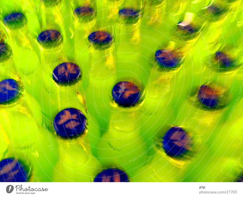 durch die brille der promille mehrere Alkohol Muster mehrfarbig grün gelb grün-gelb blau Alkoholisiert obskur Farbe Flasche viele Gully farbintensiv neonfarben