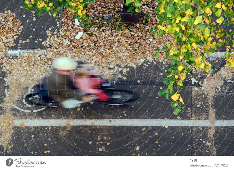 0,32s durch den Herbst Mensch maskulin Kind Verkehrsmittel Verkehrswege Straßenverkehr Fahrradfahren Fahrzeug gebrauchen Bewegung unten Buche Fahrradweg Blatt