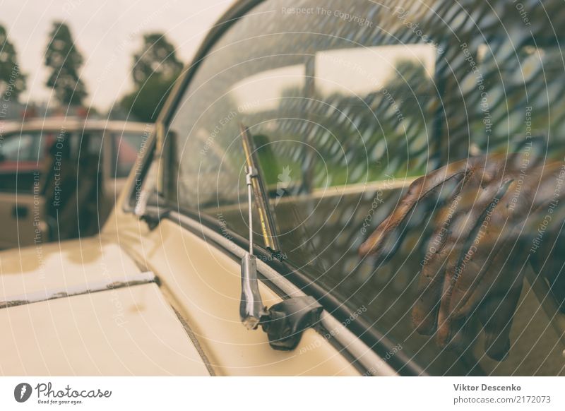 Windschutzscheibe eines Oldtimers Stil schön Spiegel Mensch Mann Erwachsene Hand Natur Wald Straße Fahrzeug PKW Mode Leder Sonnenbrille Handschuhe fahren sitzen