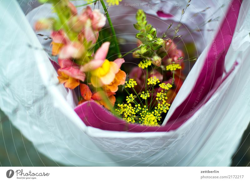 Geburtstag Blumenstrauß Blüte Geschenk Tüte Plastiktüte Verpackung Sack verpackt einpacken Güterverkehr & Logistik tragen Tasche