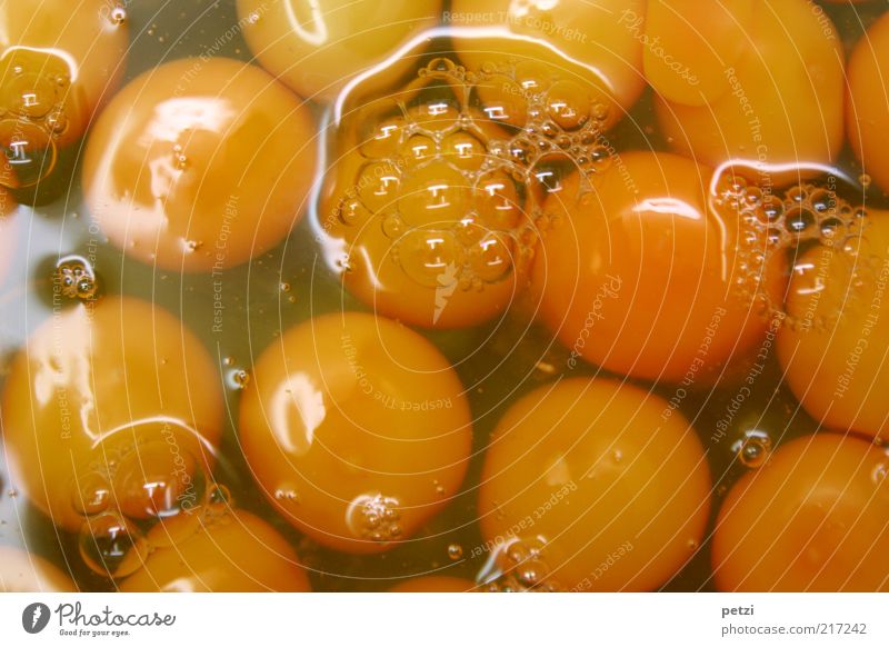 Eiweißlieferanten … Lebensmittel Ernährung lecker gelb genießen Farbfoto Innenaufnahme Nahaufnahme Menschenleer Textfreiraum Eigelb Eiklar