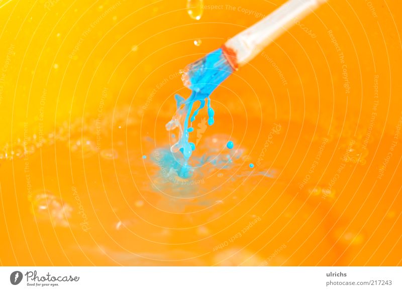 Colors Kunst machen Farbfoto mehrfarbig Innenaufnahme Nahaufnahme Detailaufnahme Makroaufnahme Pinsel nass Wassertropfen Tropfen Reinigen Experiment