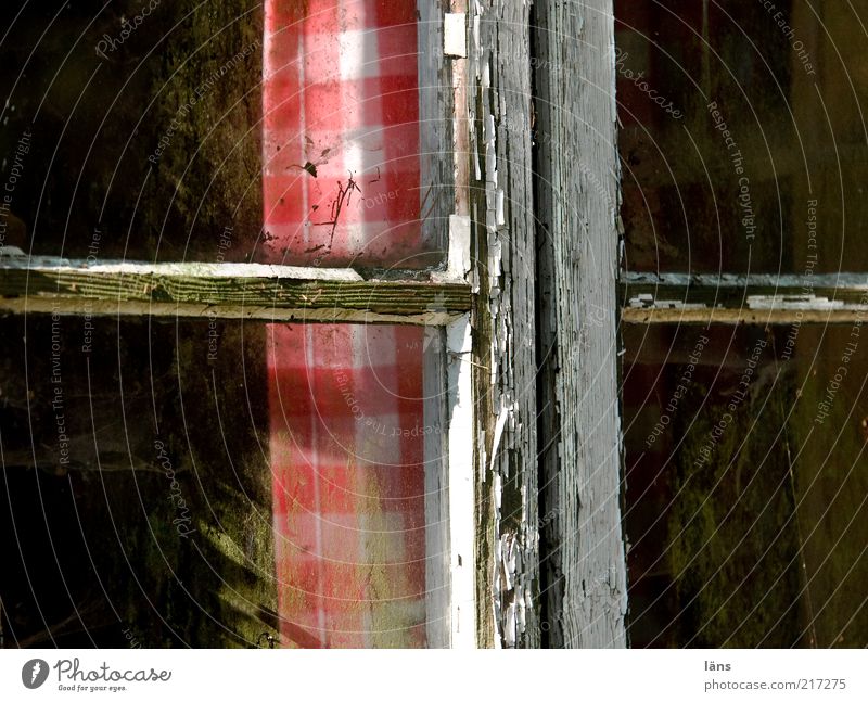 das kreuz Haus Hütte Fenster alt Armut dreckig Billig rot Wandel & Veränderung Gardine kariert Lack Fensterscheibe Fensterkreuz Schönes Wetter abblättern