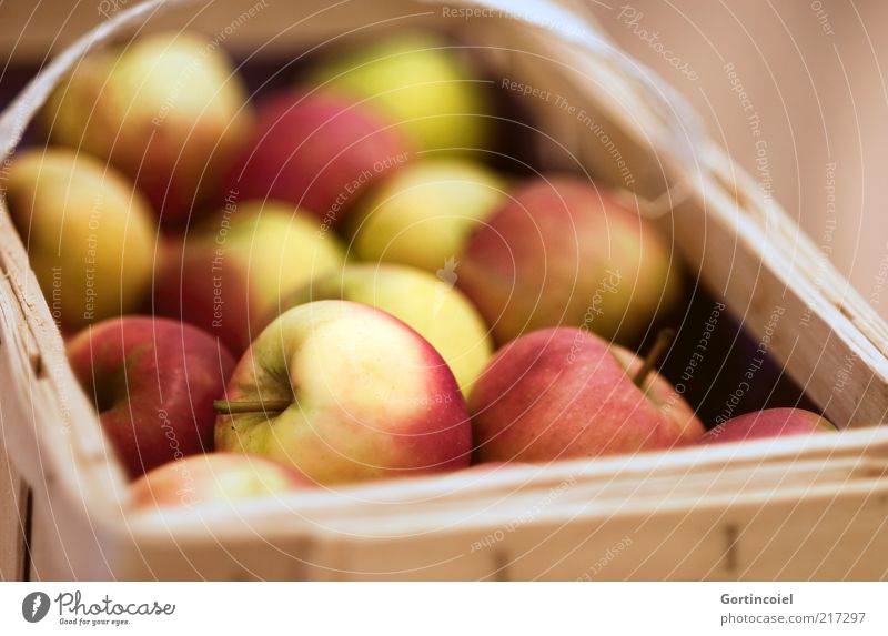 Erntedank Lebensmittel Frucht Apfel Ernährung Bioprodukte lecker Apfelernte Korb Kiste Herbst herbstlich Gesunde Ernährung Foodfotografie Farbfoto Nahaufnahme