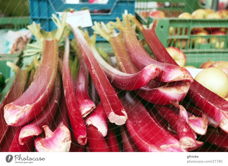 Rhabarber rot Gesundheit Markt Nahaufnahme Gemüse Vegetarische Ernährung