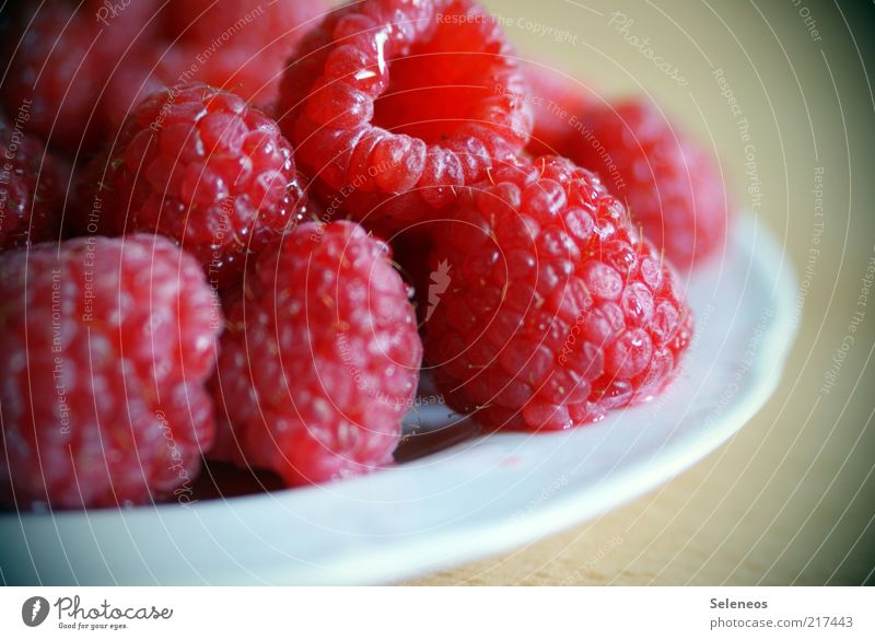 die letzten Himbeeren des Jahres Lebensmittel Frucht Ernährung Bioprodukte Vegetarische Ernährung Geschirr Teller Sommer liegen frisch Gesundheit natürlich