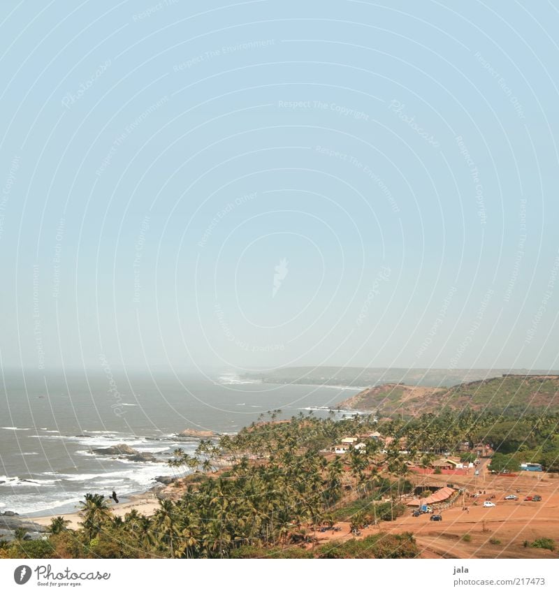 aussicht Natur Landschaft Sand Luft Wasser Himmel Wolkenloser Himmel Sommer Pflanze Baum Palme Wellen Küste Strand Meer Asien Indien Goa Dorf Haus Unendlichkeit