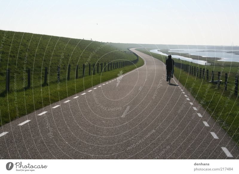 so weit, so gut Fahrradtour Sonne Fahrradfahren 1 Mensch Natur Landschaft Himmel Gras Feld See Deich Straße Landstraße Zaun Linie Bewegung