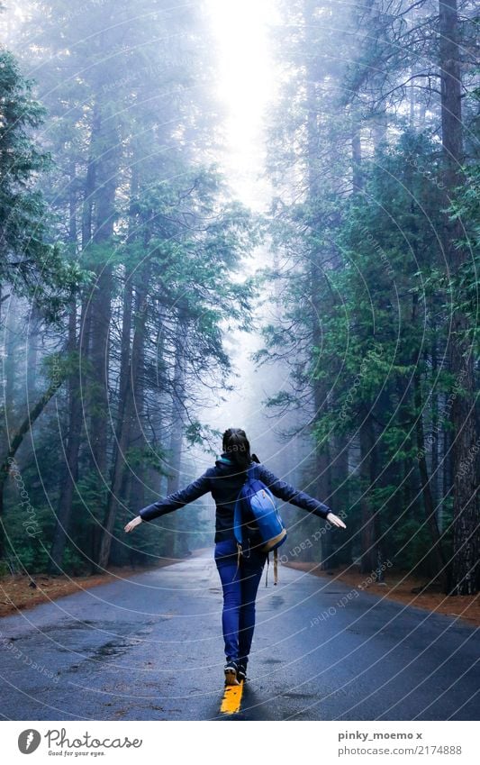 Der Weg wandern feminin Junge Frau Jugendliche Körper 1 Mensch 18-30 Jahre Erwachsene Nebel Baum Wald brünett außergewöhnlich Lebensfreude selbstbewußt