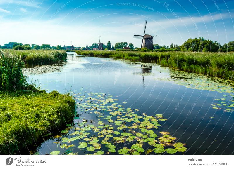 Traditionelle niederländische Windmühle Ferien & Urlaub & Reisen Tourismus Landschaft Park Fluss Gebäude Architektur grün Alkmaar Europa Niederlande farbenfroh